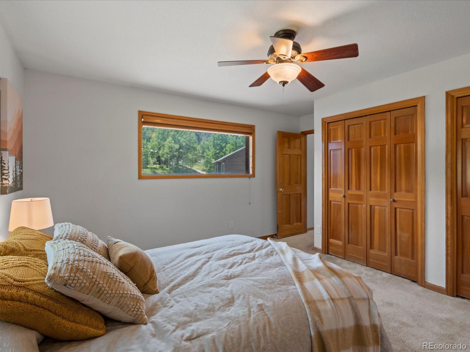 MLS Image #6 for 689 s pine drive,bailey, Colorado
