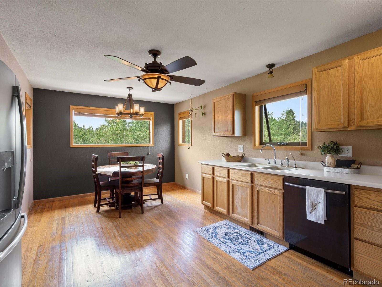 MLS Image #7 for 689 s pine drive,bailey, Colorado