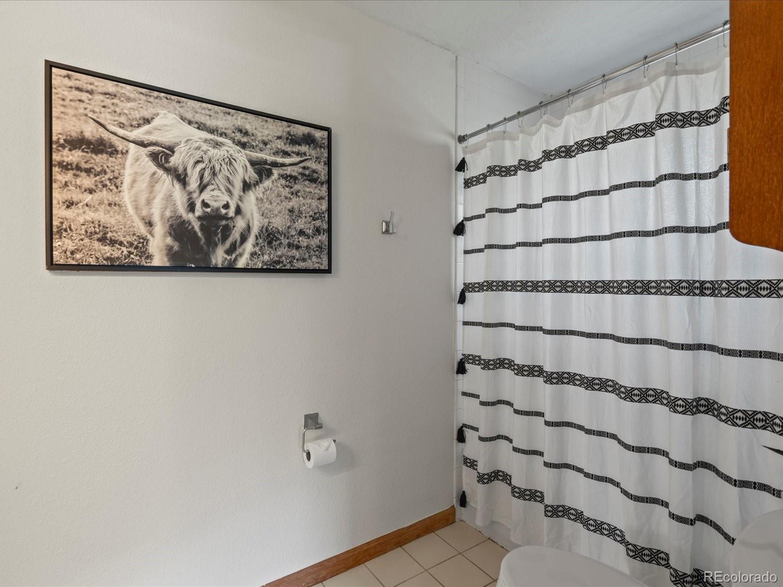 MLS Image #9 for 689 s pine drive,bailey, Colorado