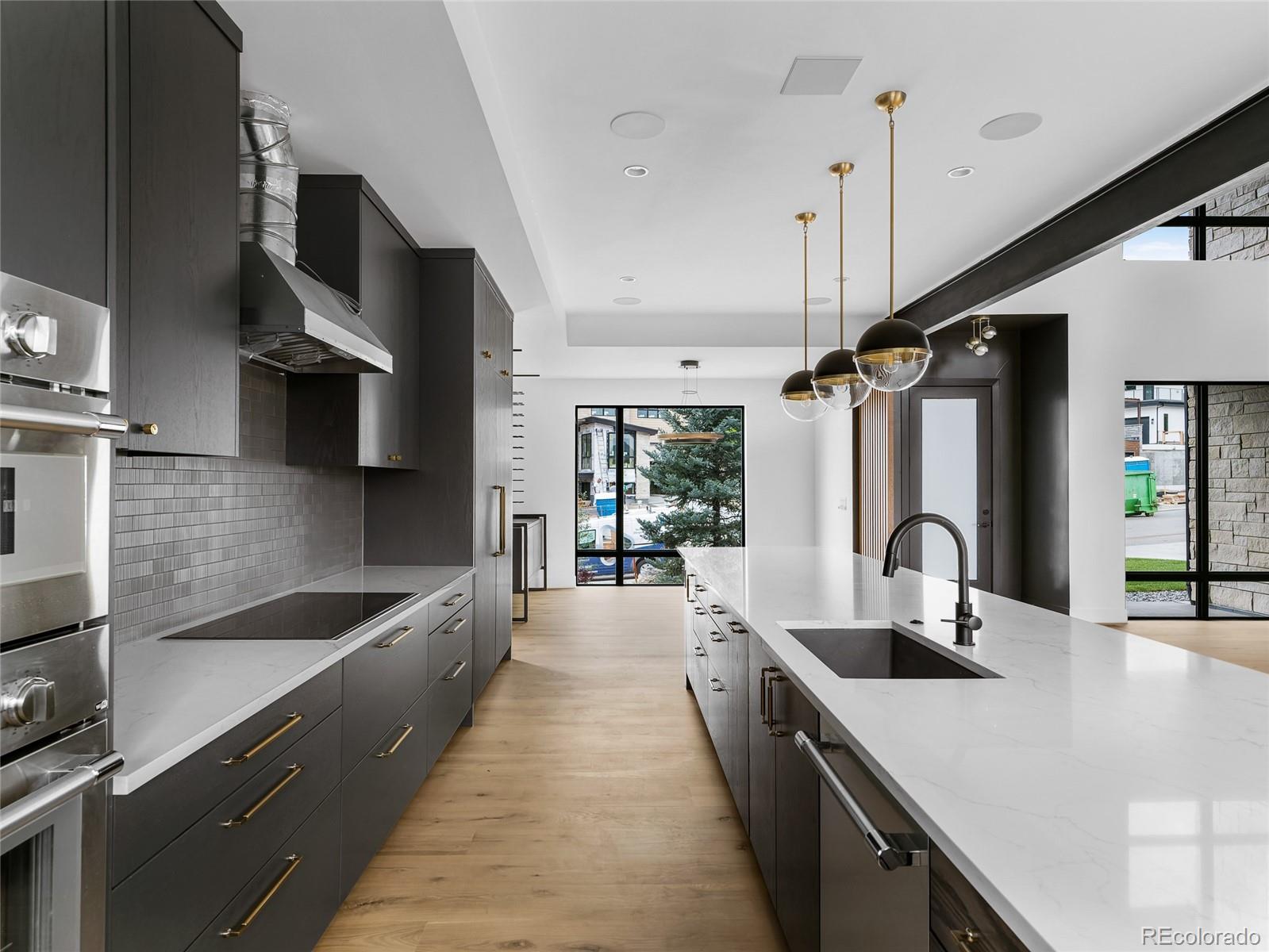 MLS Image #8 for 5258  lions paw street,castle rock, Colorado