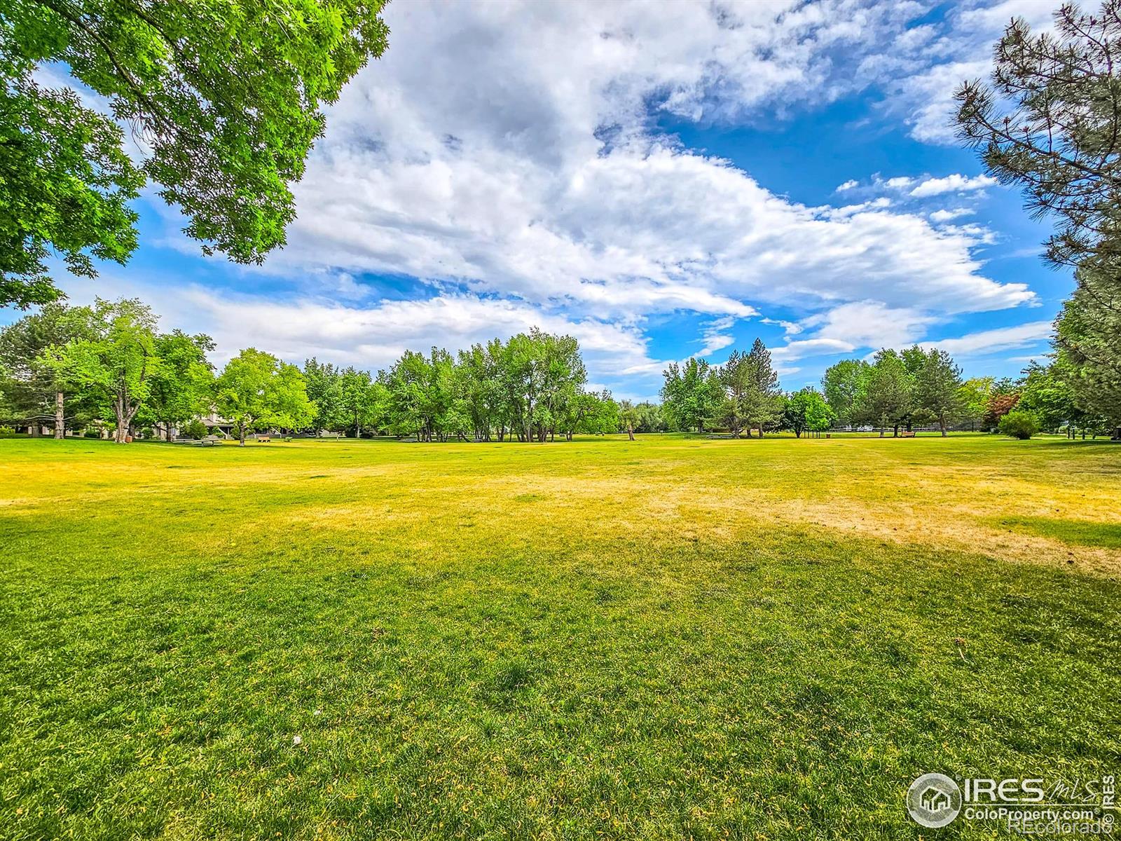 MLS Image #5 for 4749  white rock circle,boulder, Colorado