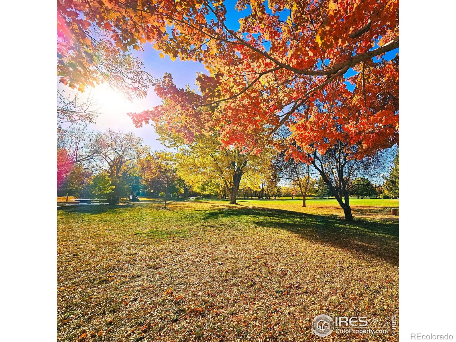 MLS Image #7 for 4749  white rock circle,boulder, Colorado