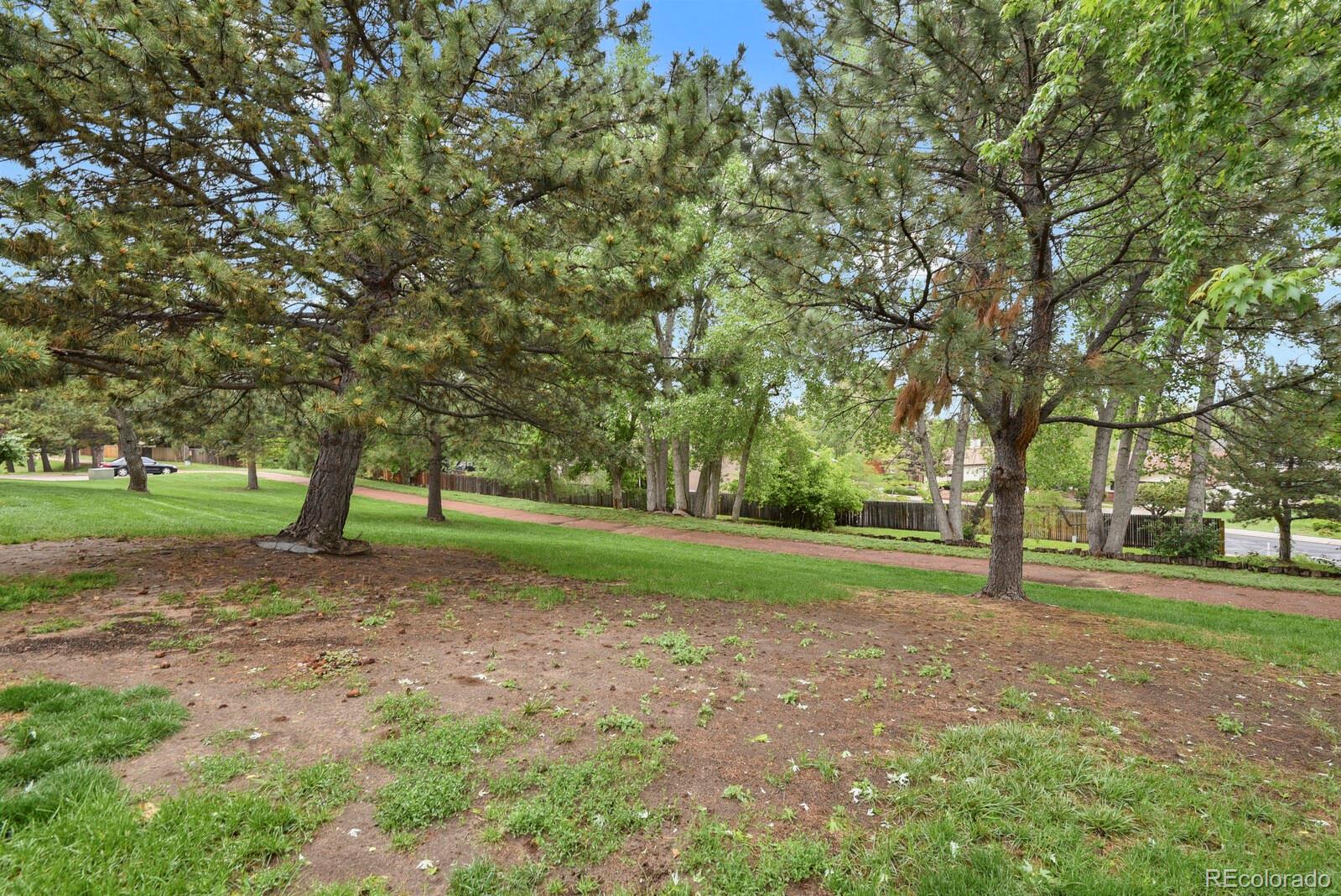 MLS Image #19 for 3619  queen anne way,colorado springs, Colorado