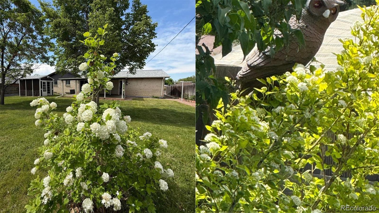 MLS Image #23 for 13010 w 6th place,golden, Colorado
