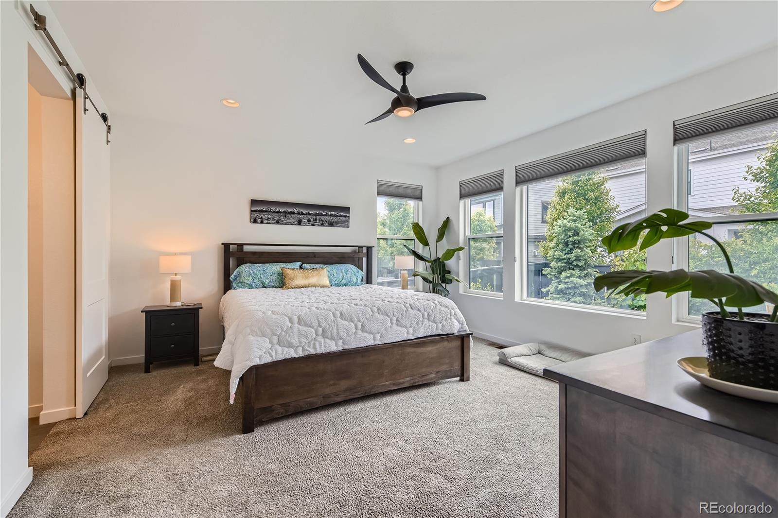 MLS Image #11 for 11253  moondance trail,littleton, Colorado
