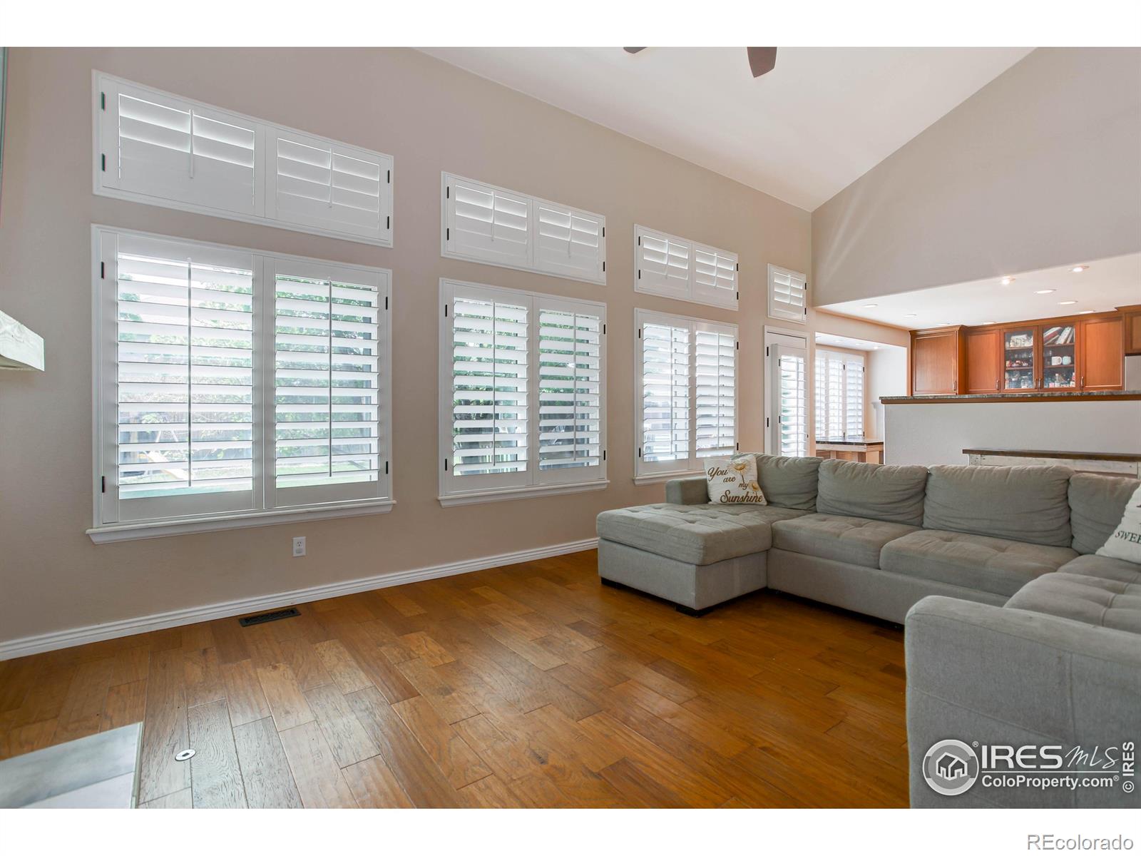 MLS Image #11 for 11535  briarwood lane,parker, Colorado
