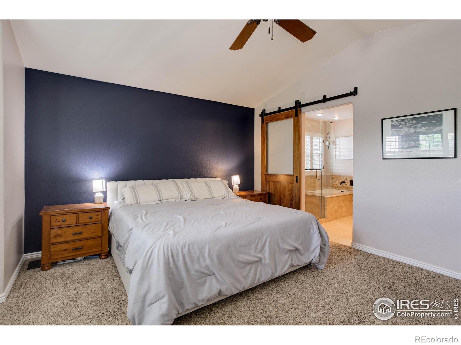 MLS Image #19 for 11535  briarwood lane,parker, Colorado