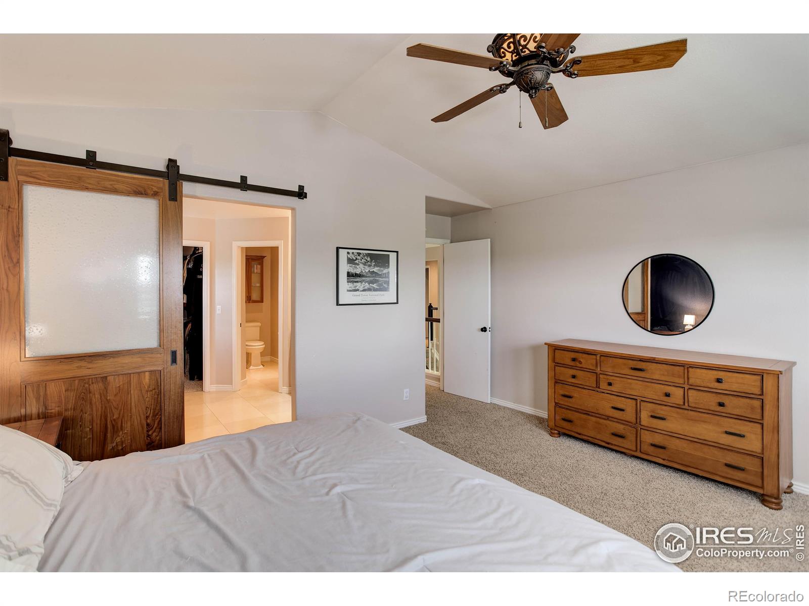 MLS Image #20 for 11535  briarwood lane,parker, Colorado