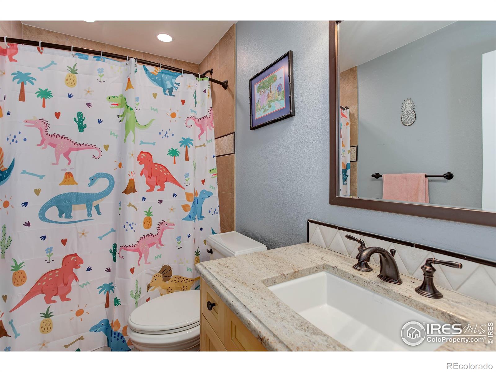 MLS Image #28 for 11535  briarwood lane,parker, Colorado