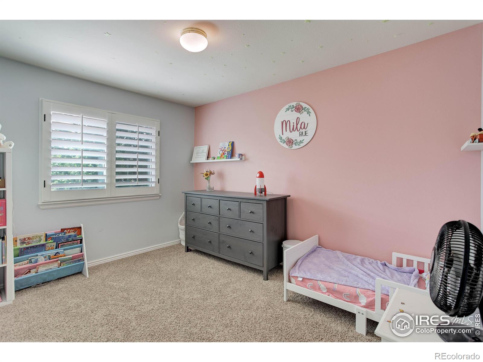 MLS Image #29 for 11535  briarwood lane,parker, Colorado