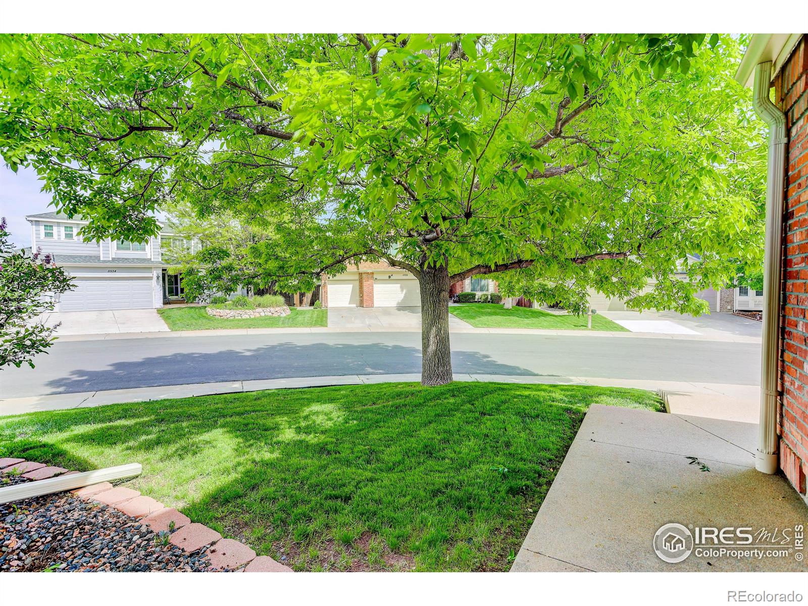 MLS Image #3 for 11535  briarwood lane,parker, Colorado