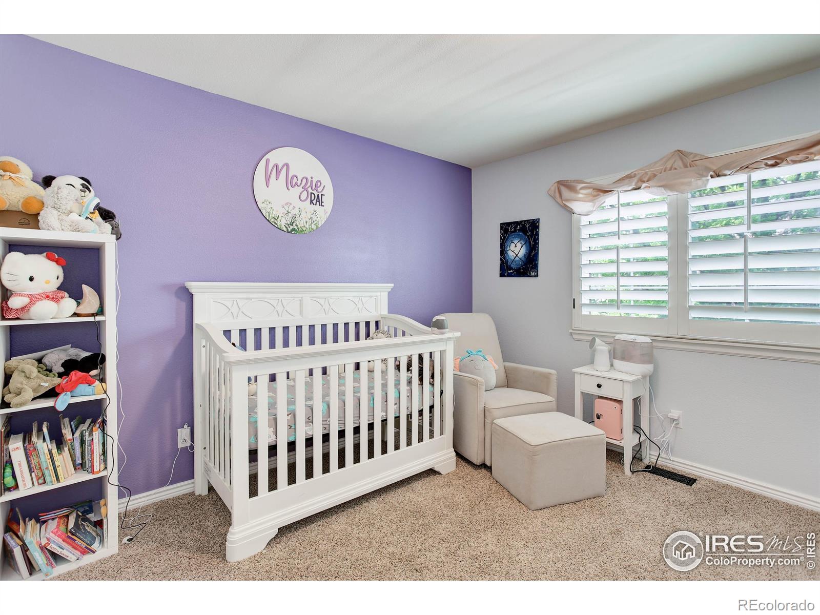 MLS Image #30 for 11535  briarwood lane,parker, Colorado
