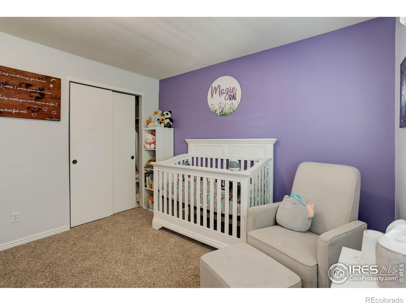 MLS Image #31 for 11535  briarwood lane,parker, Colorado