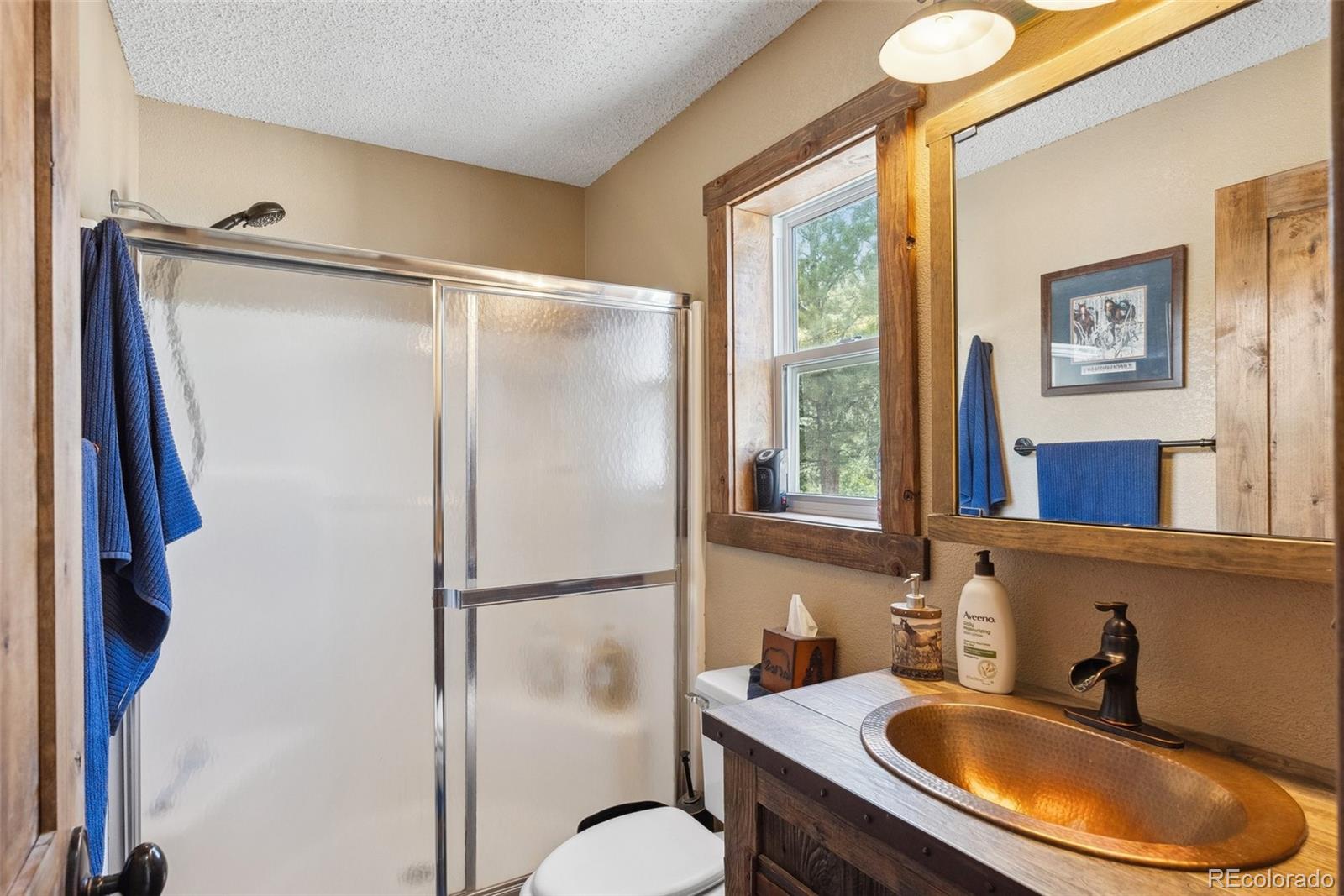 MLS Image #22 for 50  road p78 ,bailey, Colorado