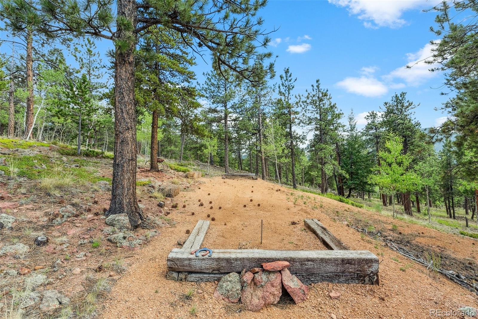 MLS Image #37 for 50  road p78 ,bailey, Colorado