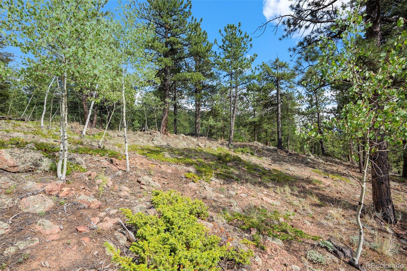 MLS Image #38 for 50  road p78 ,bailey, Colorado