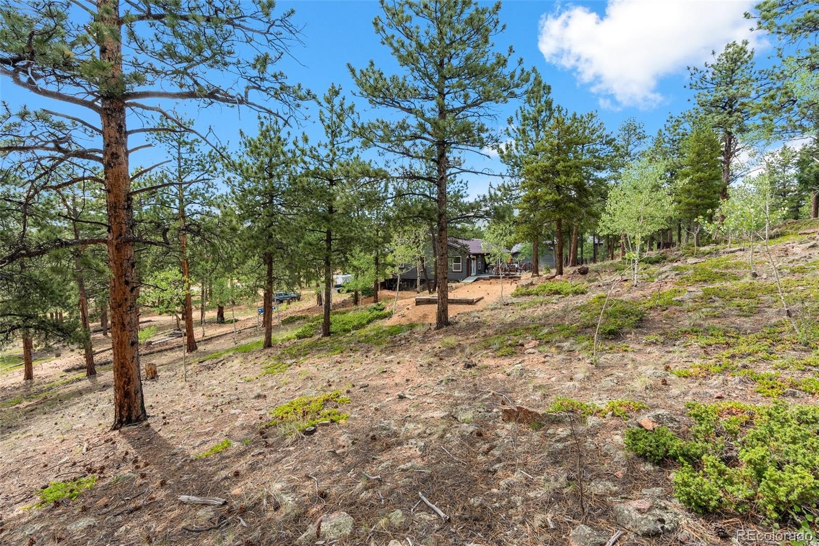 MLS Image #39 for 50  road p78 ,bailey, Colorado