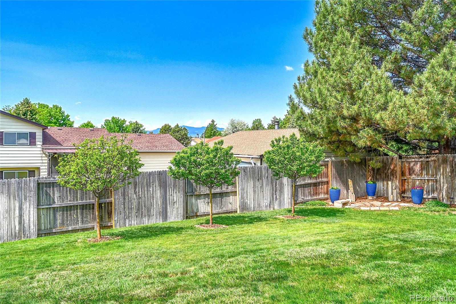 MLS Image #42 for 1093  lilac circle,broomfield, Colorado