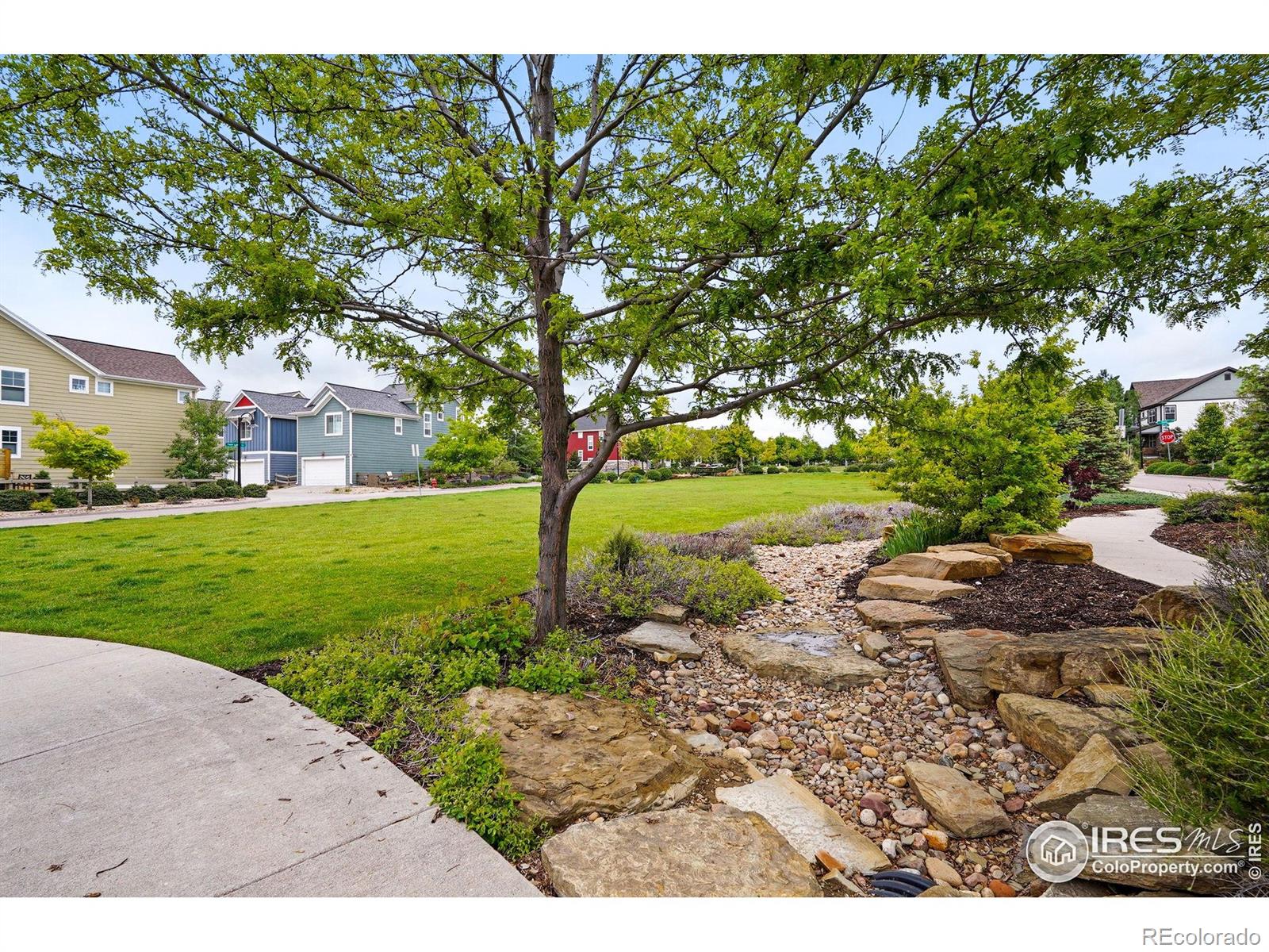 MLS Image #5 for 518  hoyt lane,lafayette, Colorado