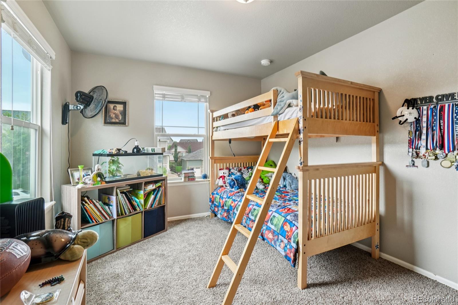 MLS Image #25 for 2273  stonefish drive,windsor, Colorado