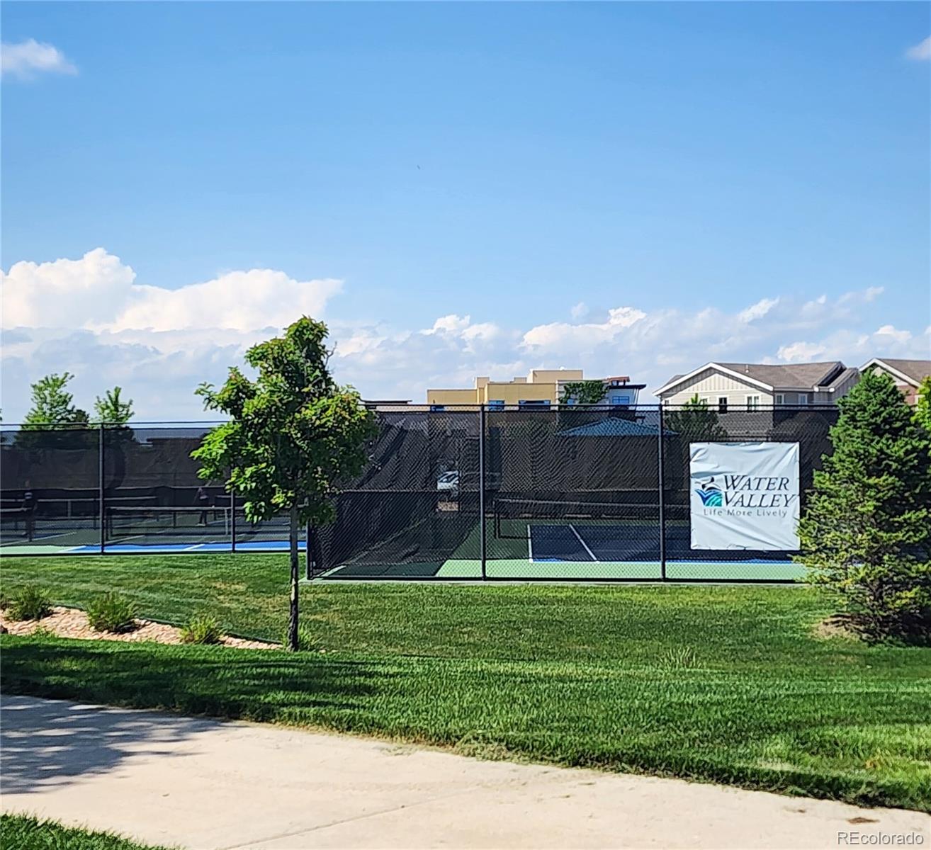 MLS Image #42 for 2273  stonefish drive,windsor, Colorado