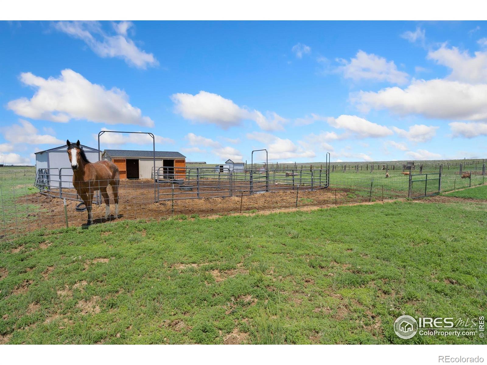 MLS Image #26 for 2836 w county road 60e ,fort collins, Colorado
