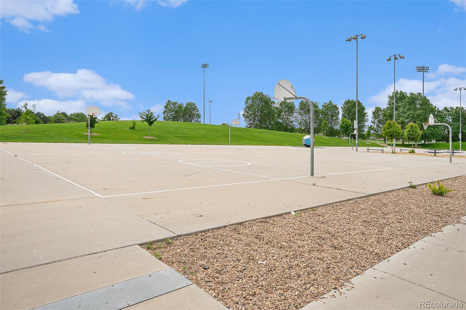 MLS Image #23 for 4760  kittredge street,denver, Colorado