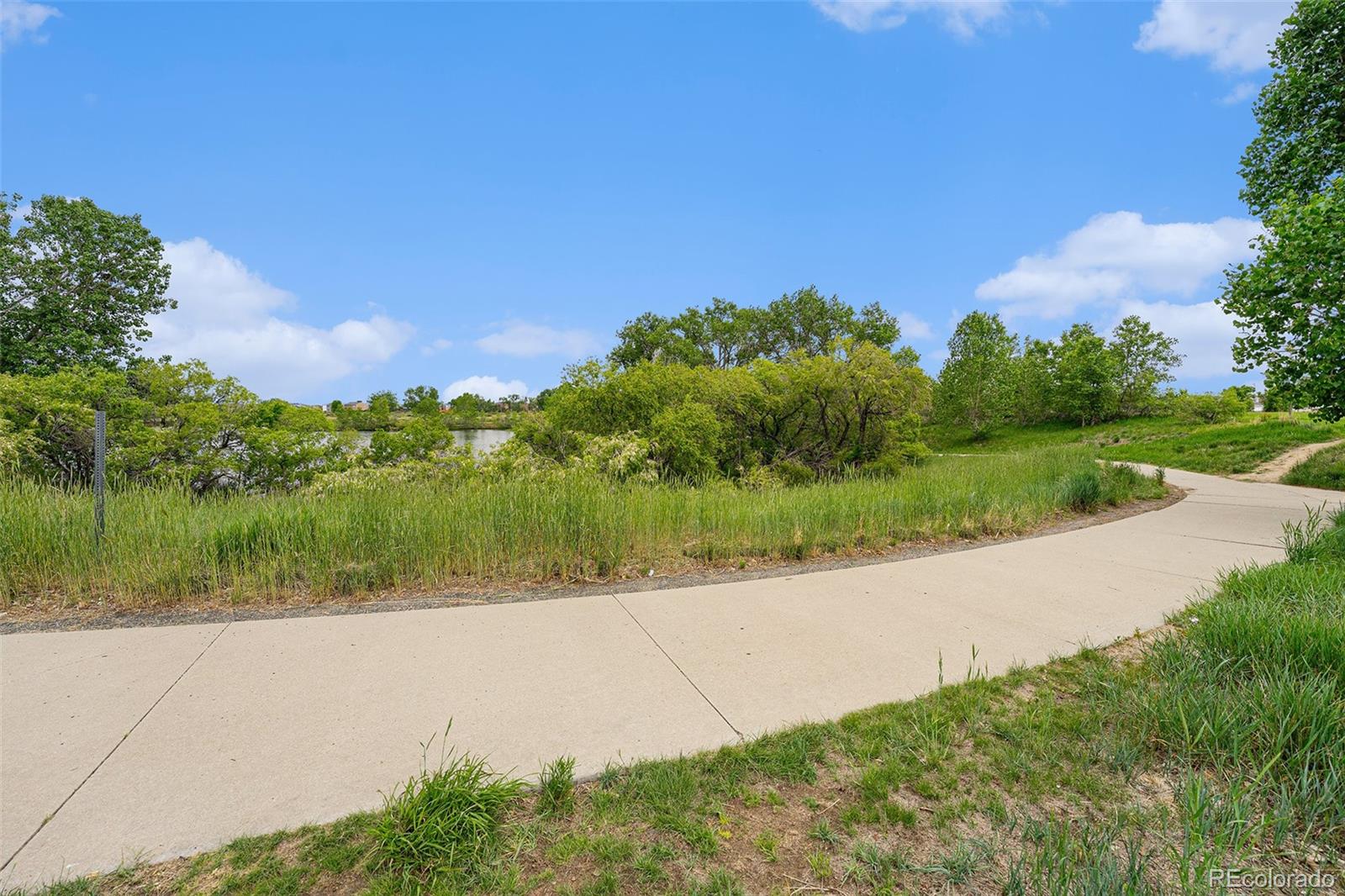 MLS Image #26 for 4760  kittredge street,denver, Colorado