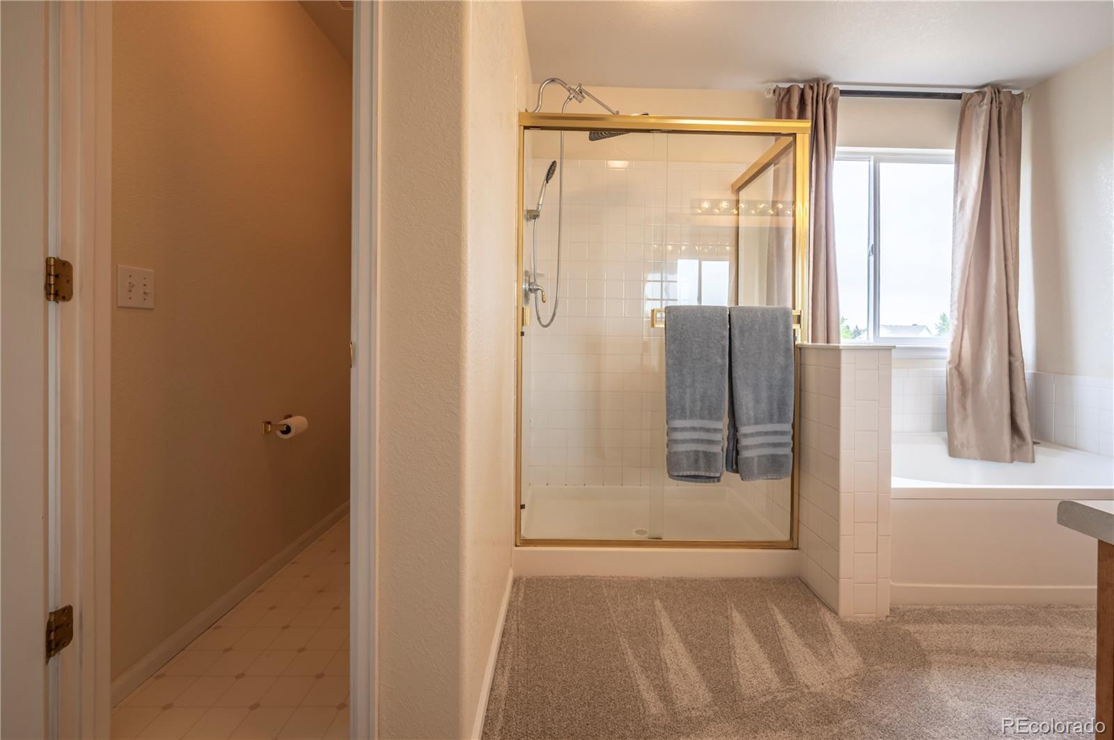 MLS Image #21 for 475  hampstead avenue,castle rock, Colorado