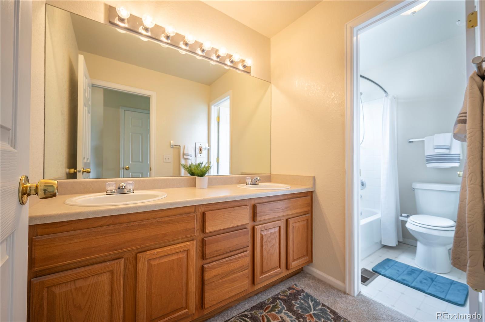 MLS Image #24 for 475  hampstead avenue,castle rock, Colorado