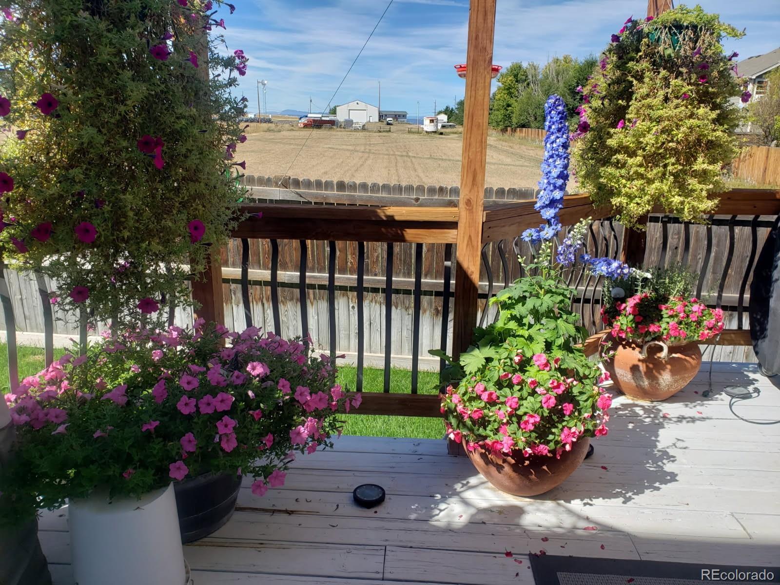 MLS Image #36 for 475  hampstead avenue,castle rock, Colorado