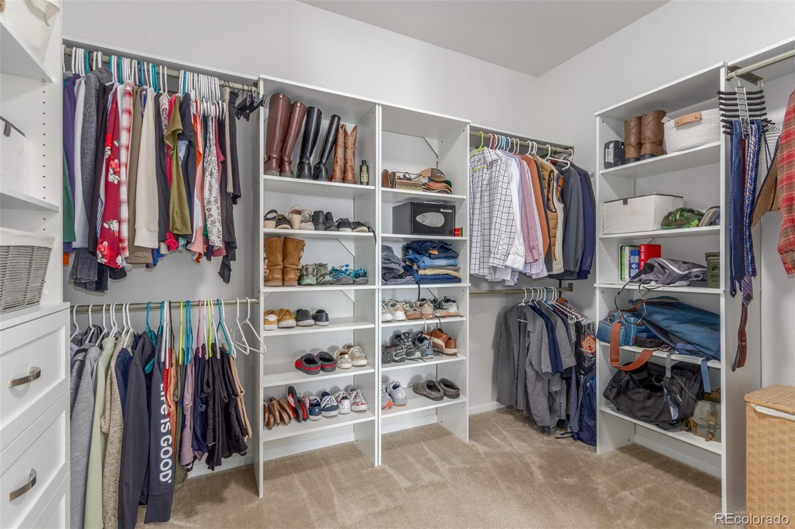 MLS Image #19 for 12513  shore point street,firestone, Colorado