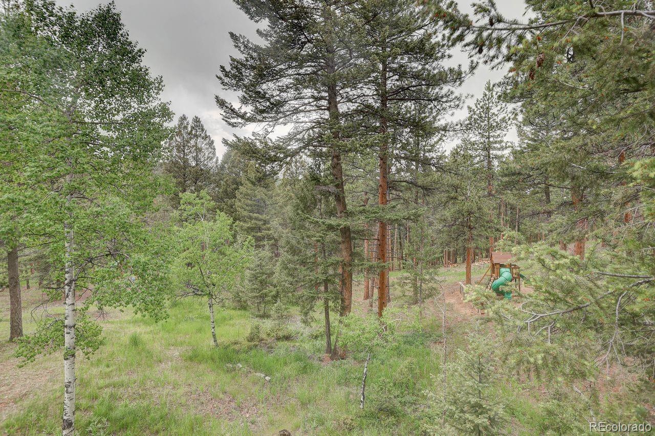 MLS Image #42 for 9209  william cody drive,evergreen, Colorado