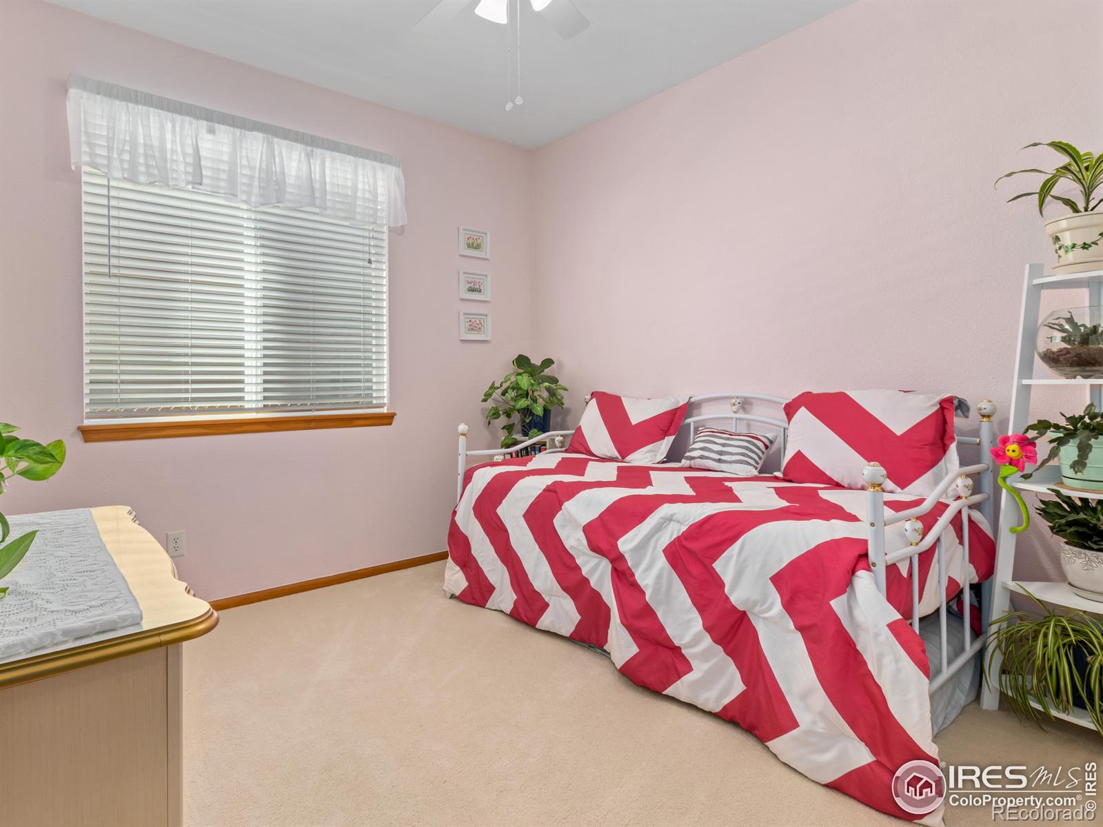 MLS Image #11 for 1536  goshawk drive,longmont, Colorado