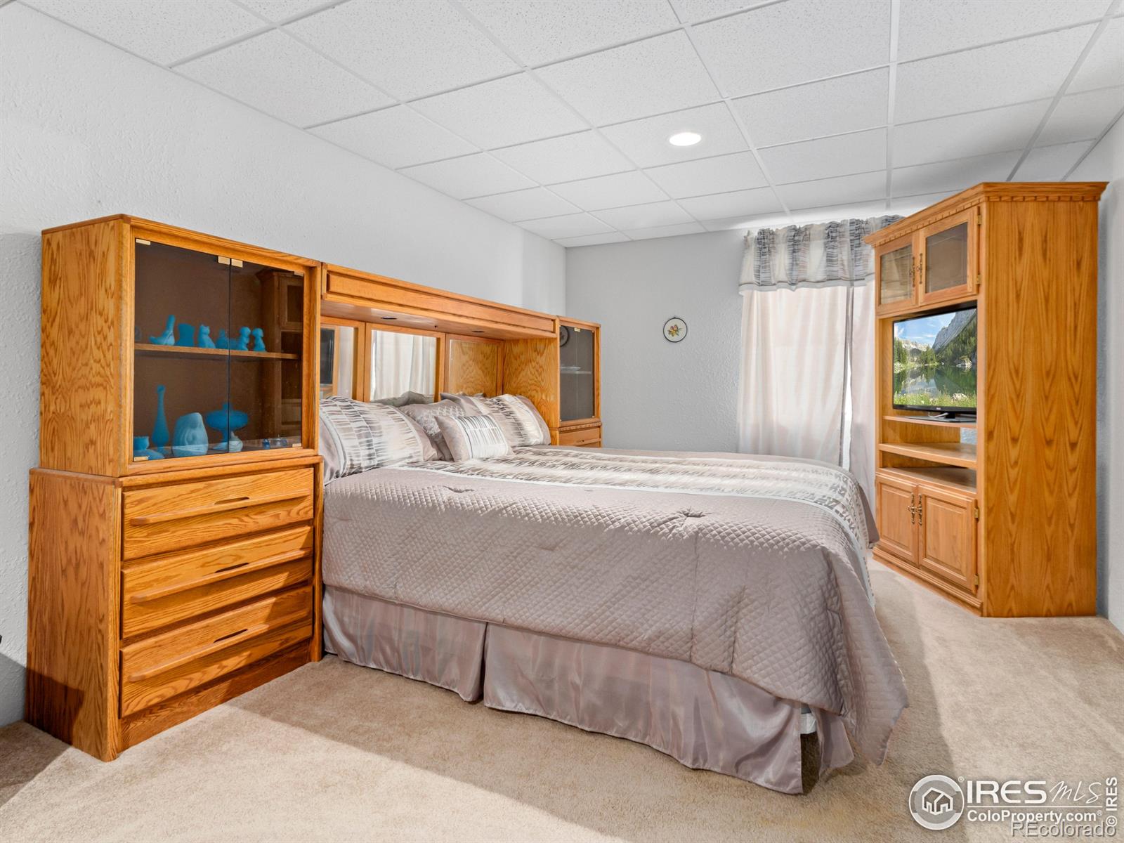 MLS Image #15 for 1536  goshawk drive,longmont, Colorado