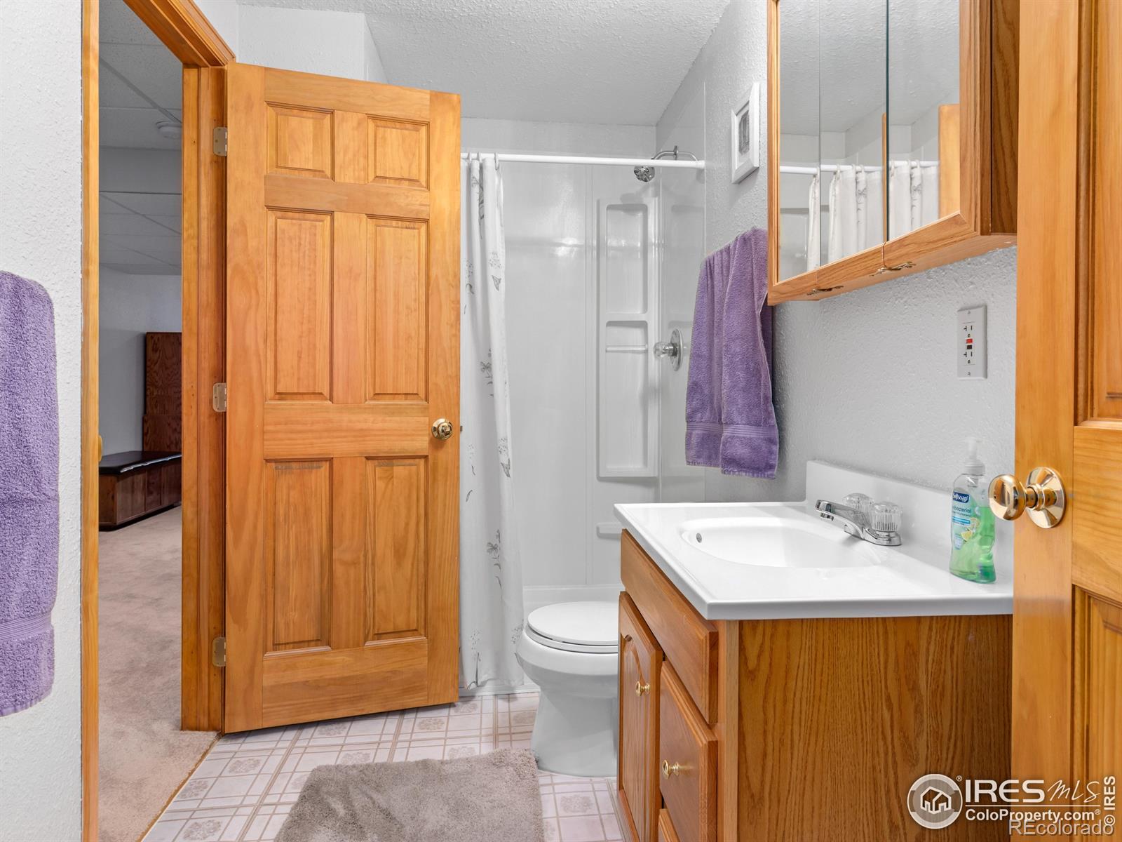 MLS Image #16 for 1536  goshawk drive,longmont, Colorado