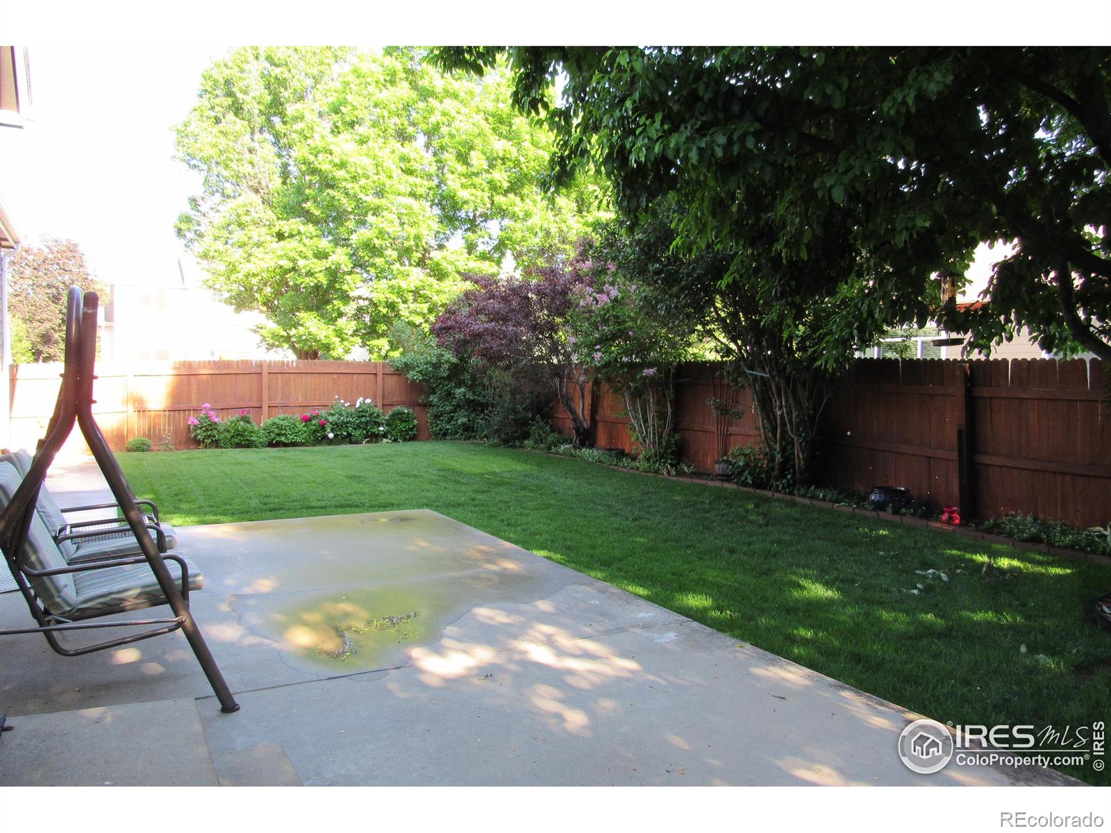 MLS Image #18 for 1536  goshawk drive,longmont, Colorado