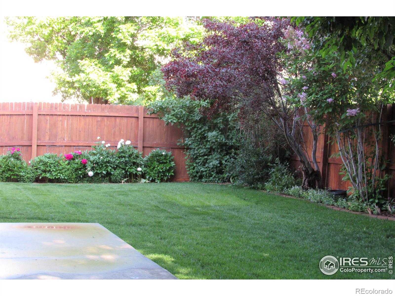 MLS Image #20 for 1536  goshawk drive,longmont, Colorado