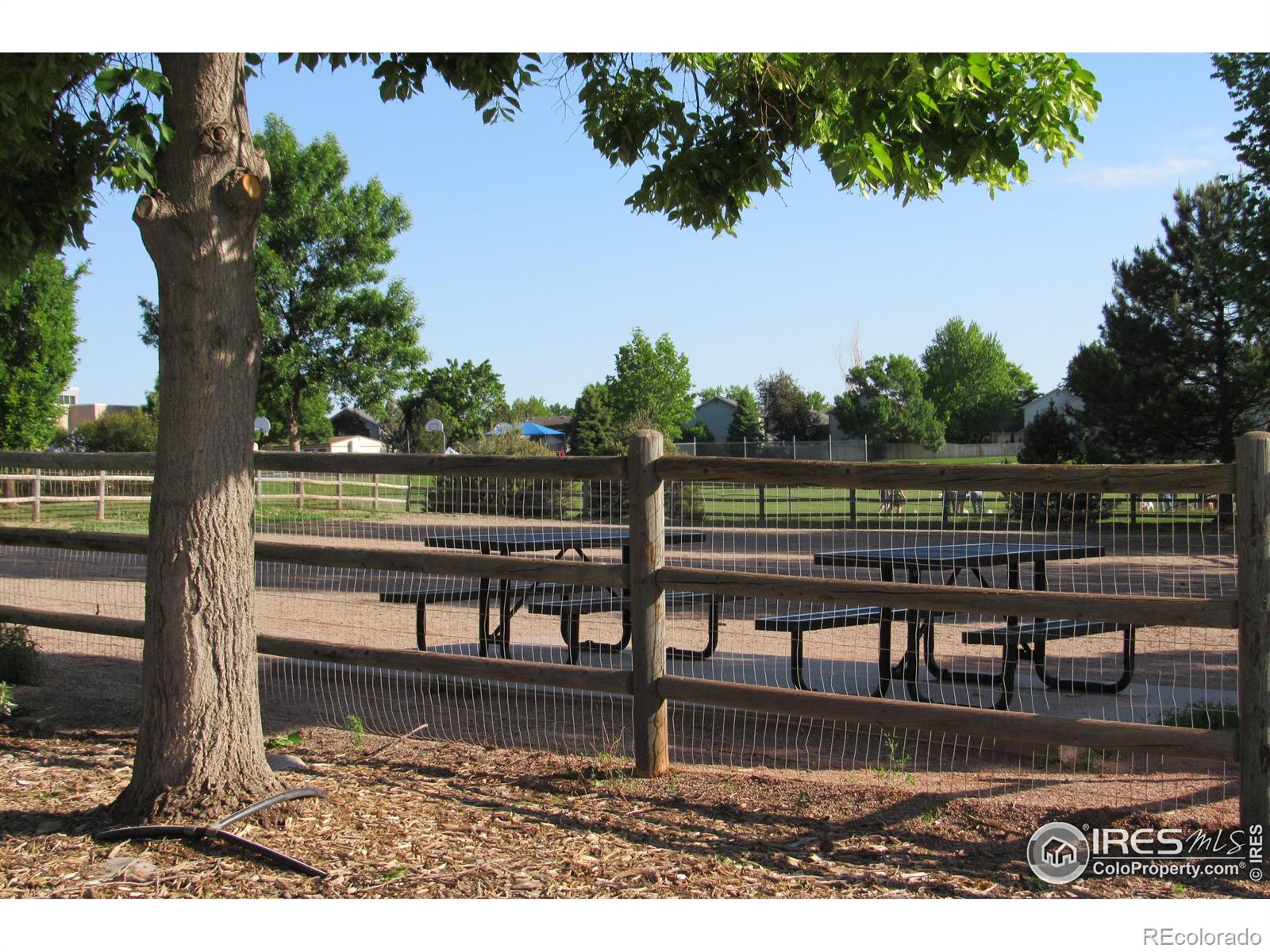 MLS Image #26 for 1536  goshawk drive,longmont, Colorado