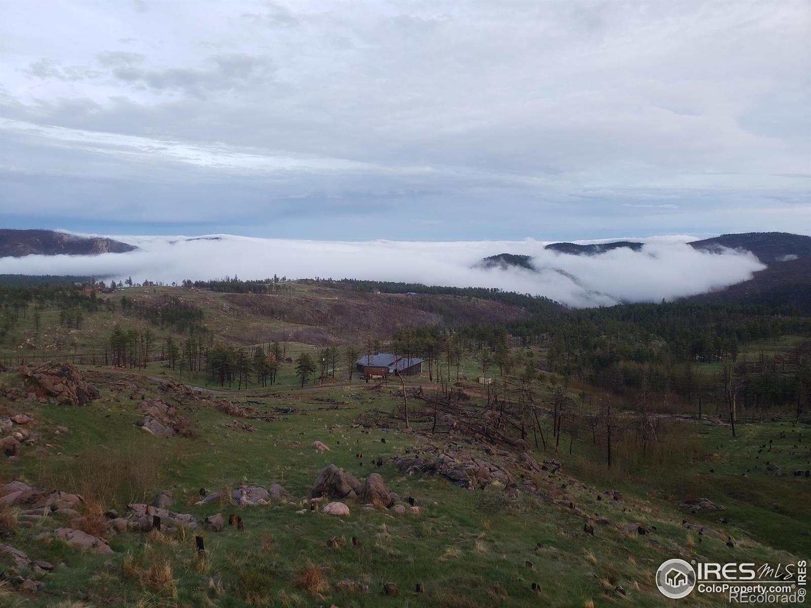 MLS Image #3 for 4119  davis ranch road,bellvue, Colorado