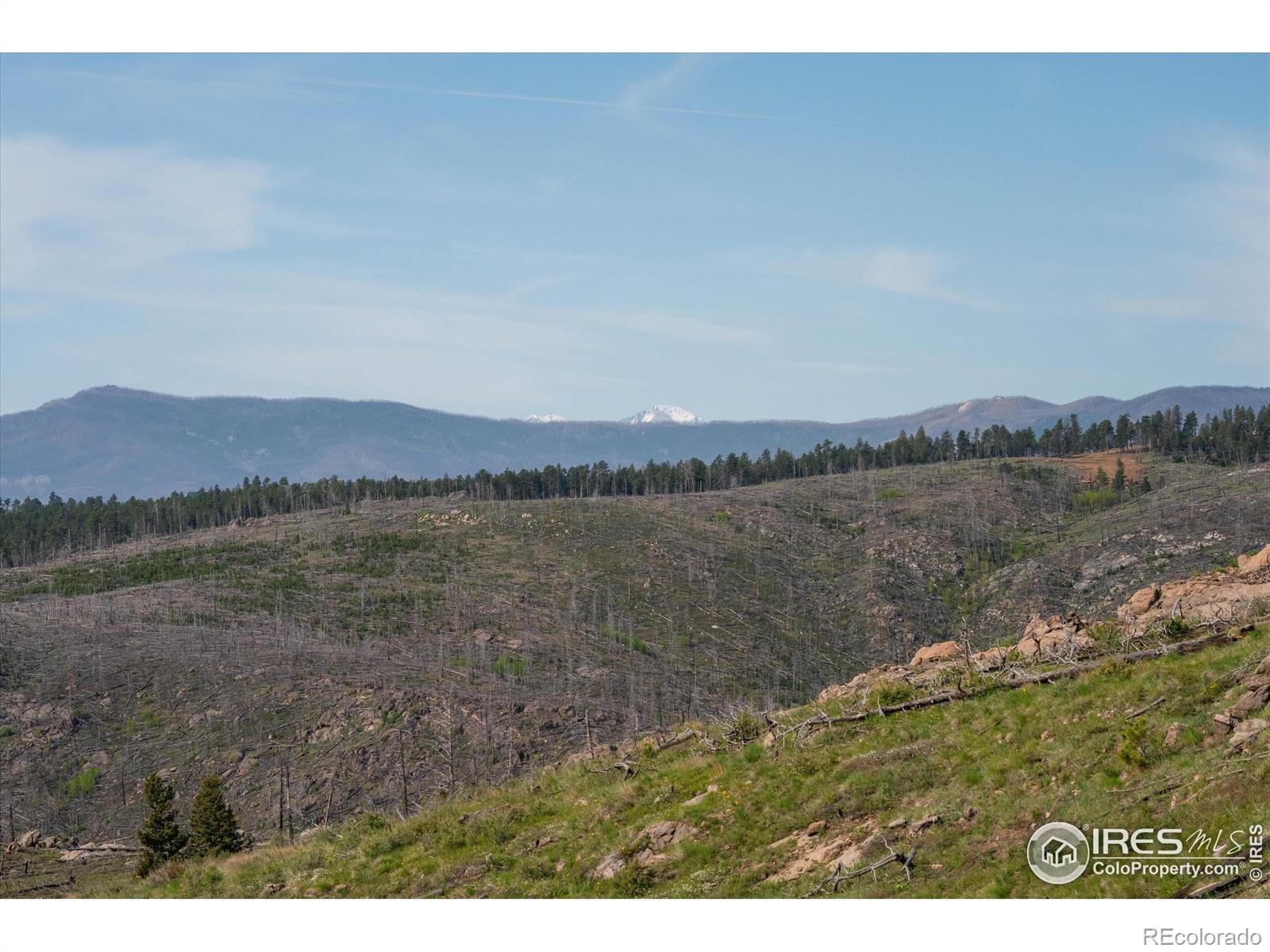 MLS Image #39 for 4119  davis ranch road,bellvue, Colorado
