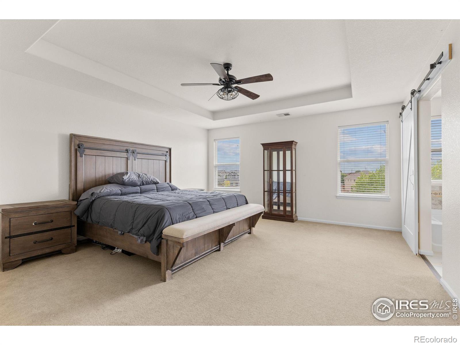 MLS Image #11 for 13420  spruce street,thornton, Colorado