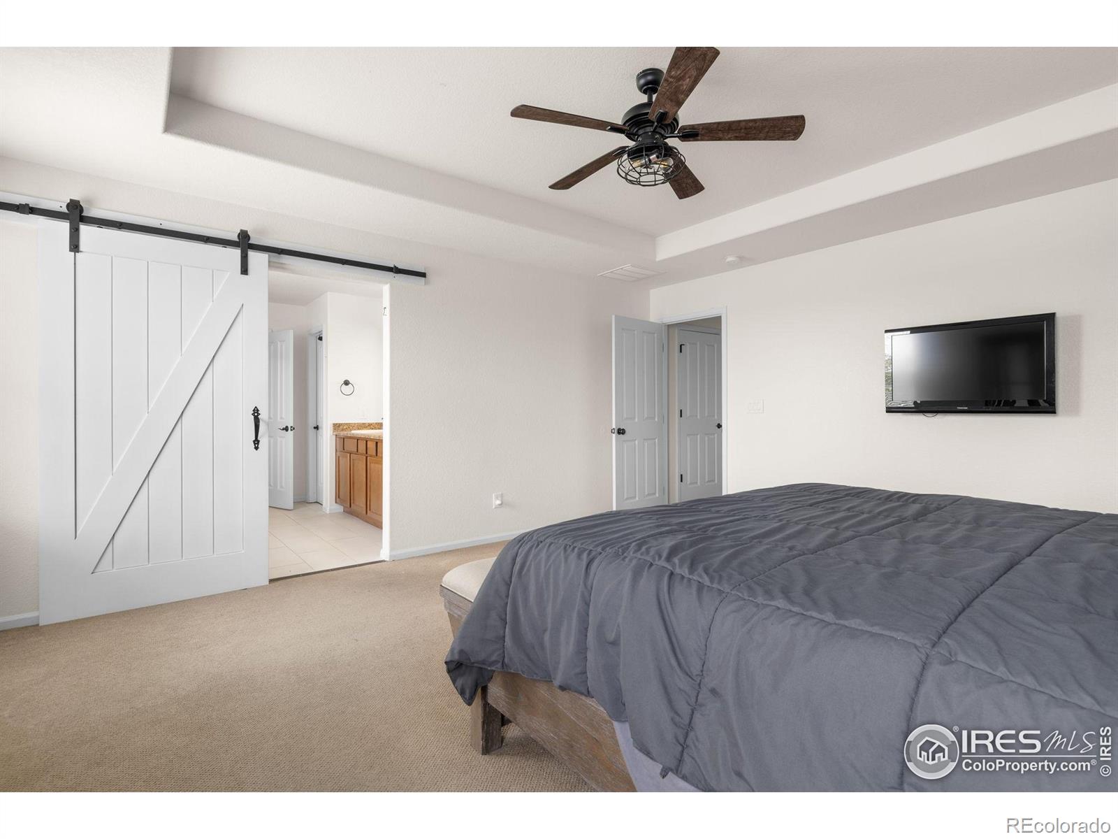 MLS Image #12 for 13420  spruce street,thornton, Colorado