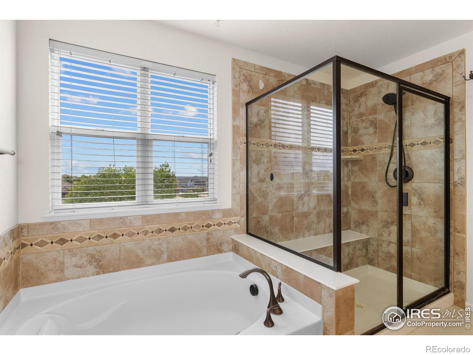 MLS Image #14 for 13420  spruce street,thornton, Colorado