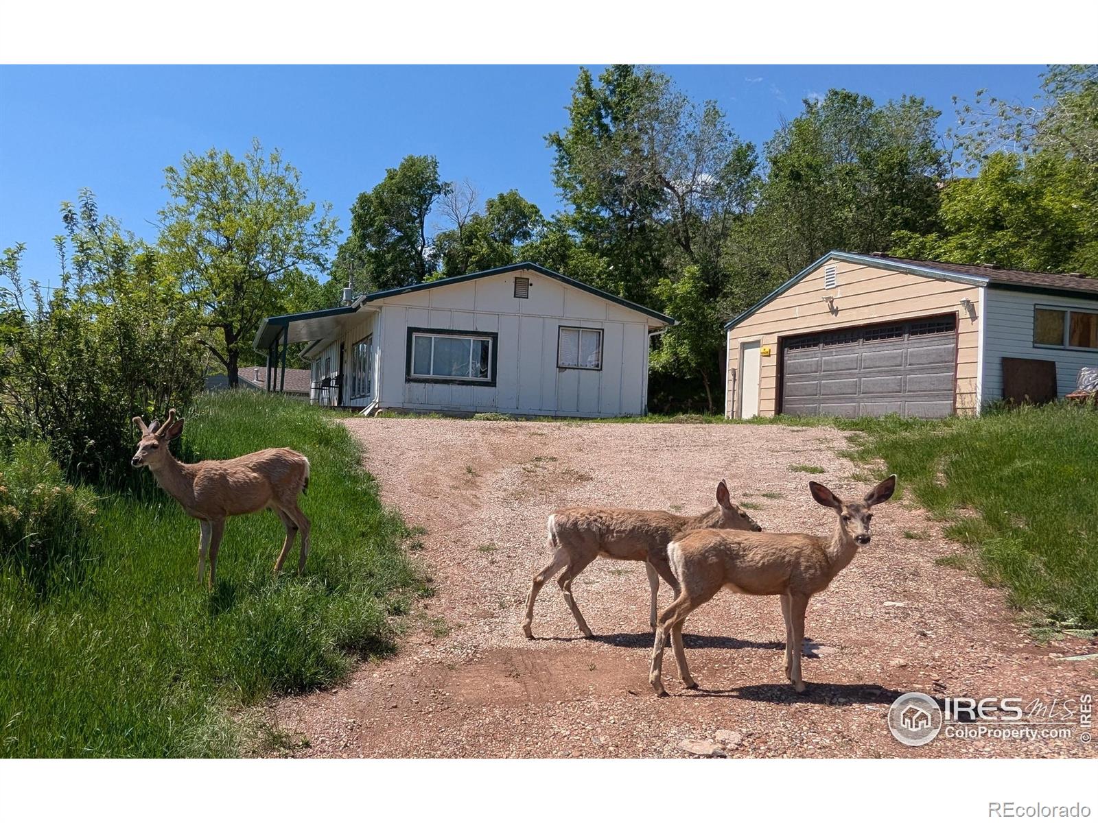 CMA Image for 4809  Foothills Drive,Fort Collins, Colorado
