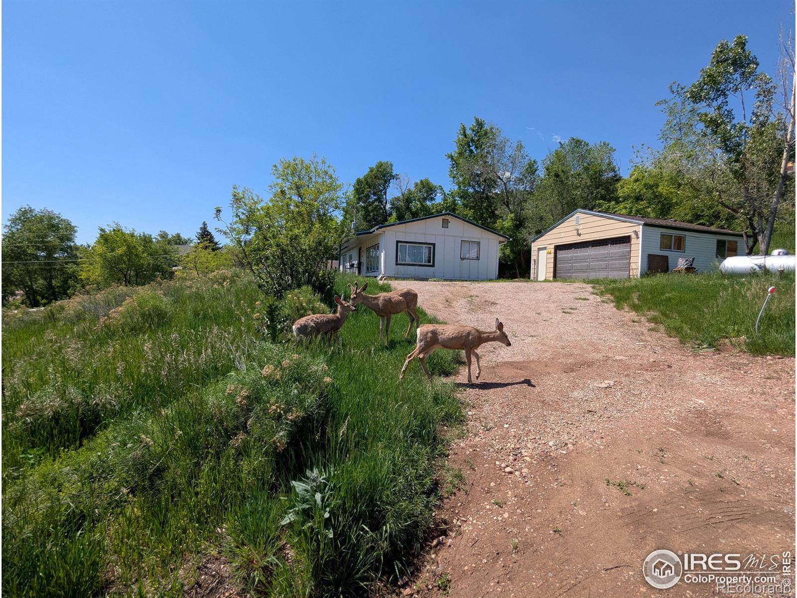 MLS Image #15 for 4809  foothills drive,fort collins, Colorado