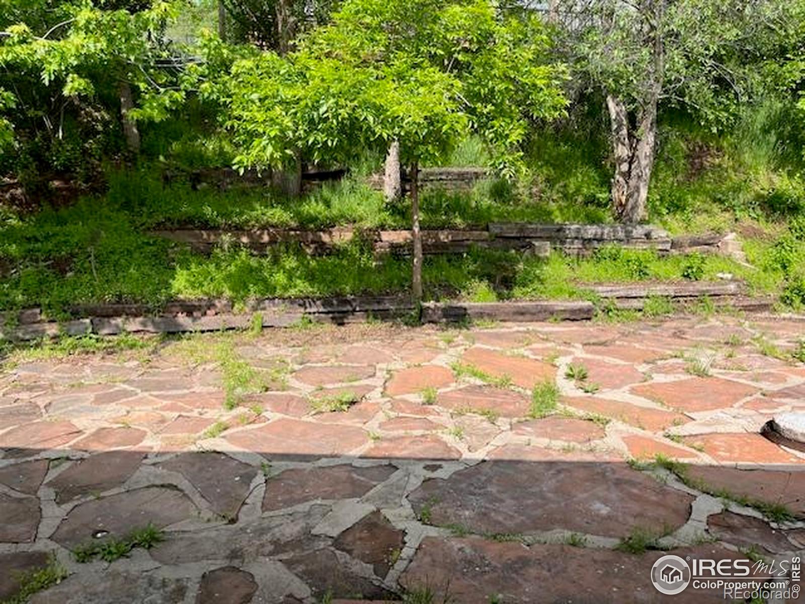 MLS Image #17 for 4809  foothills drive,fort collins, Colorado
