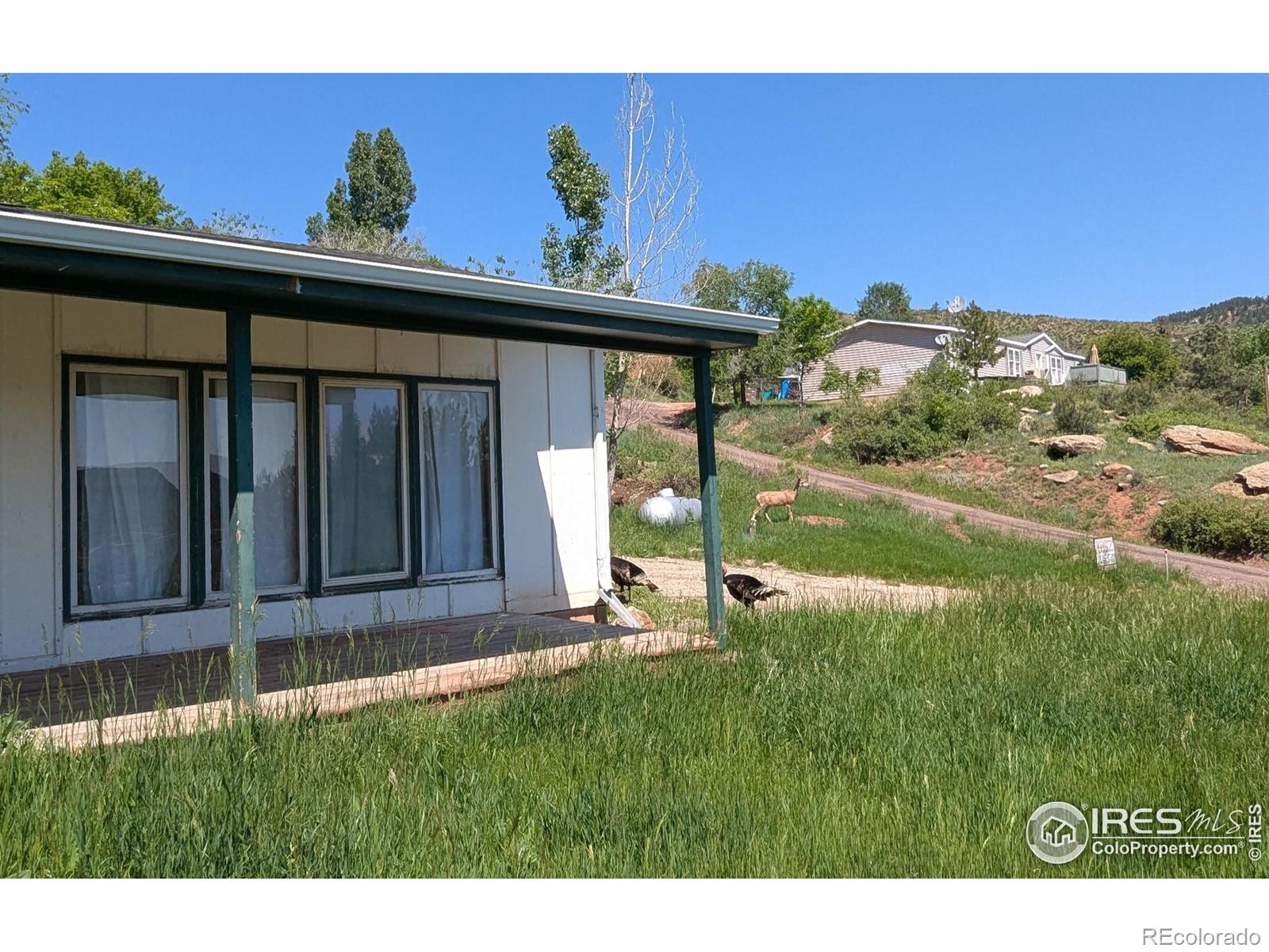 MLS Image #2 for 4809  foothills drive,fort collins, Colorado