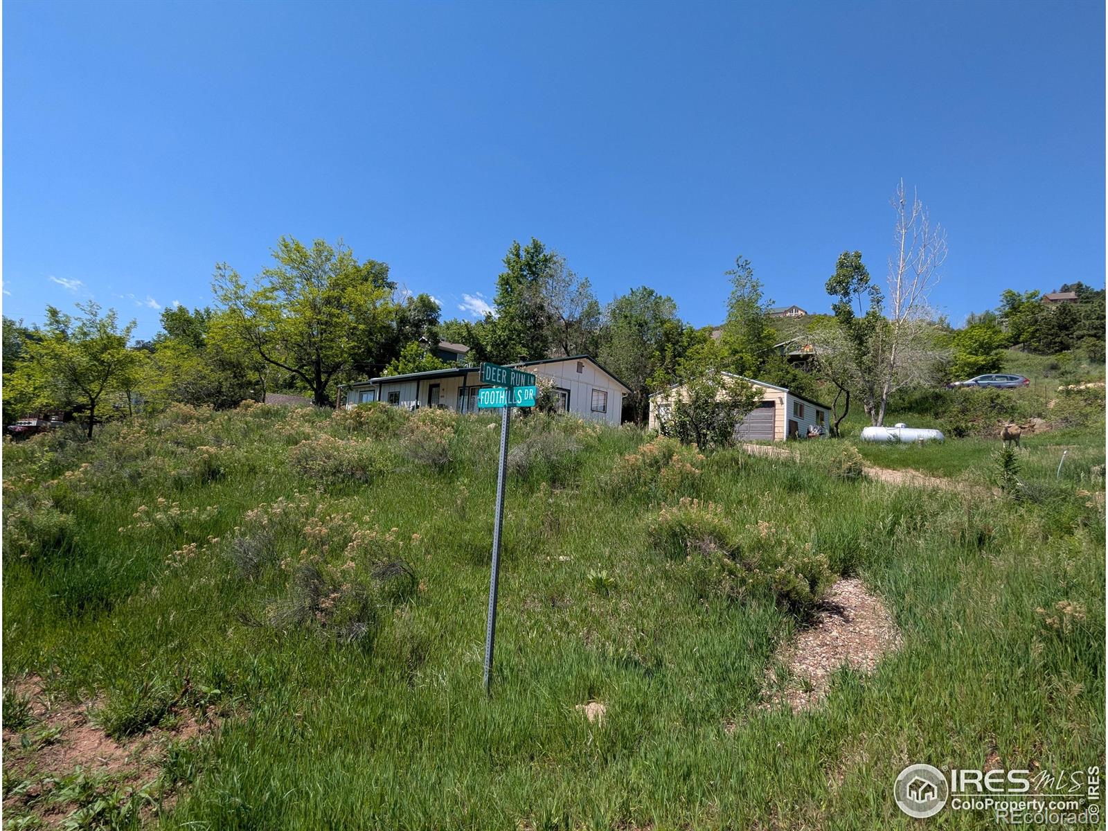 MLS Image #34 for 4809  foothills drive,fort collins, Colorado
