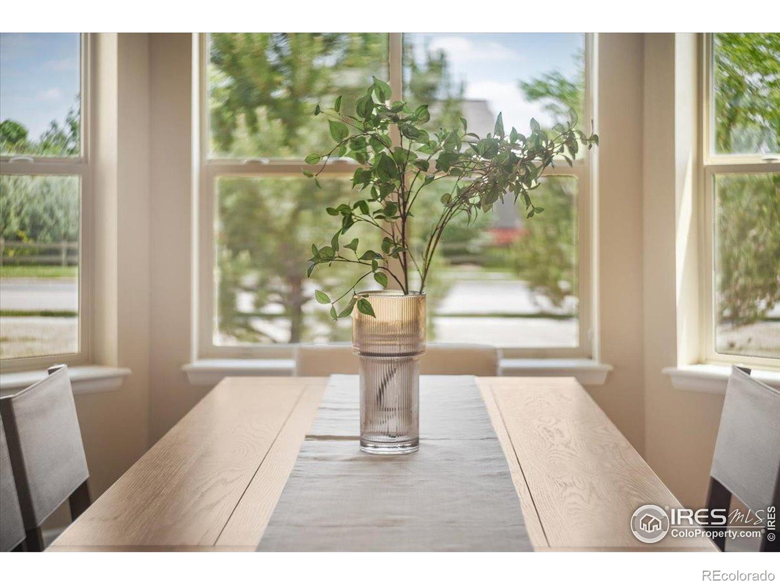 MLS Image #12 for 3050  zephyr road,fort collins, Colorado
